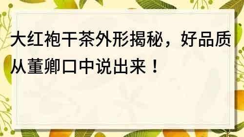 大紅袍干茶外形揭秘，好品質從董卿口中說出來！