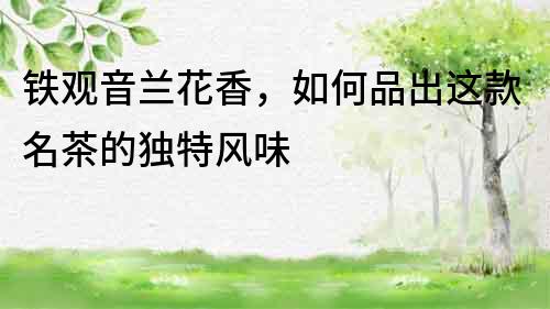 鐵觀音蘭花香，如何品出這款名茶的獨(dú)特風(fēng)味