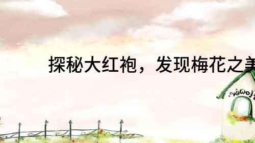 探秘大紅袍，發現梅花之美