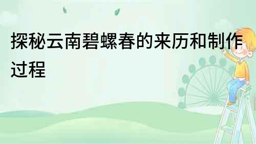 探秘云南碧螺春的來歷和制作過程
