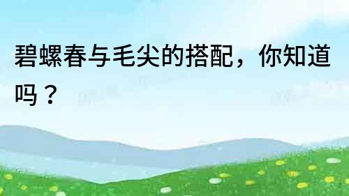 碧螺春與毛尖的搭配，你知道嗎？