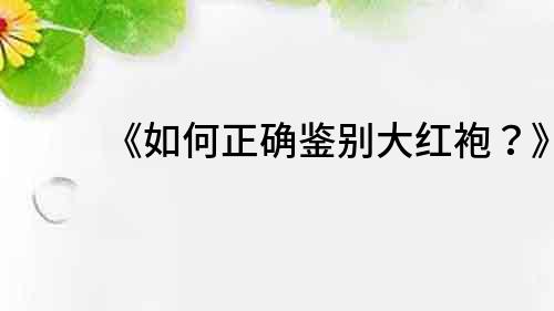《如何正確鑒別大紅袍?》