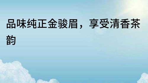 品味純正金駿眉，享受清香茶韻