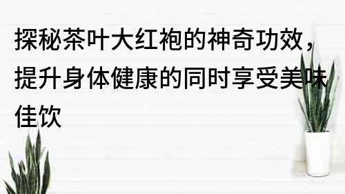 探秘茶葉大紅袍的神奇功效，提升身體健康的同時享受美味佳飲