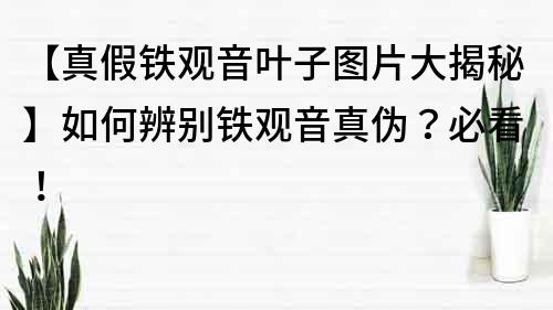 【真假鐵觀音葉子圖片大揭秘】如何辨別鐵觀音真偽？必看！