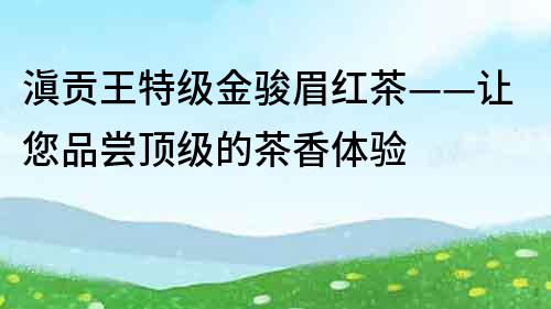 滇貢王特級金駿眉紅茶——讓您品嘗頂級的茶香體驗