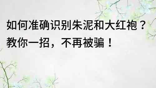 如何準確識別朱泥和大紅袍？教你一招，不再被騙！
