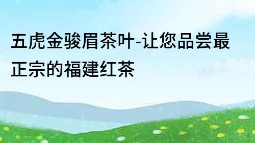 五虎金駿眉茶葉-讓您品嘗最正宗的福建紅茶