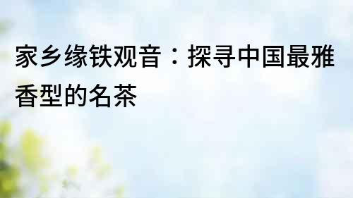 家鄉緣鐵觀音：探尋中國最雅香型的名茶