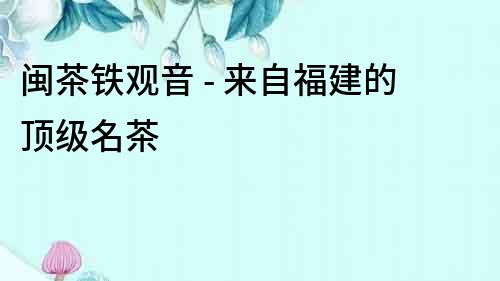 閩茶鐵觀音 - 來自福建的頂級名茶