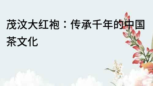 茂汶大紅袍：傳承千年的中國茶文化