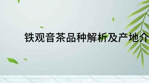 鐵觀音茶品種解析及產地介紹