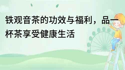 鐵觀音茶的功效與福利，品一杯茶享受健康生活