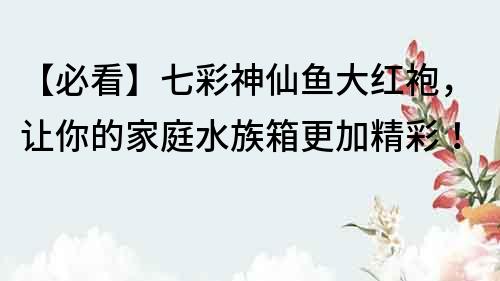 【必看】七彩神仙魚大紅袍，讓你的家庭水族箱更加精彩！