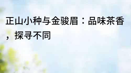 正山小種與金駿眉：品味茶香，探尋不同