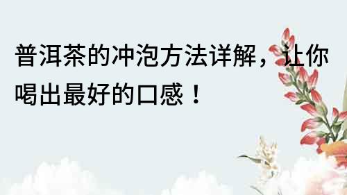 普洱茶的沖泡方法詳解，讓你喝出最好的口感！