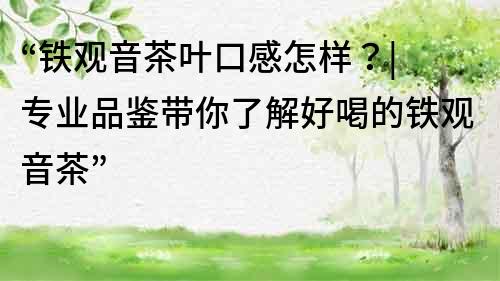 “鐵觀音茶葉口感怎樣？| 專業品鑒帶你了解好喝的鐵觀音茶”