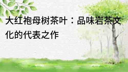 大紅袍母樹茶葉：品味巖茶文化的代表之作