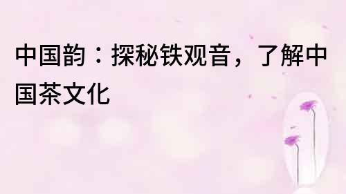 中國韻：探秘鐵觀音，了解中國茶文化