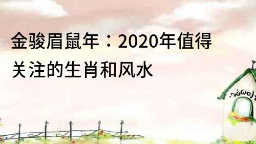 金駿眉鼠年：2020年值得關注的生肖和風水