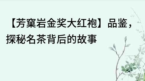 【芳窠巖金獎大紅袍】品鑒，探秘名茶背后的故事