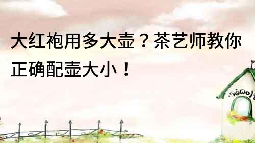 大紅袍用多大壺？茶藝師教你正確配壺大小！