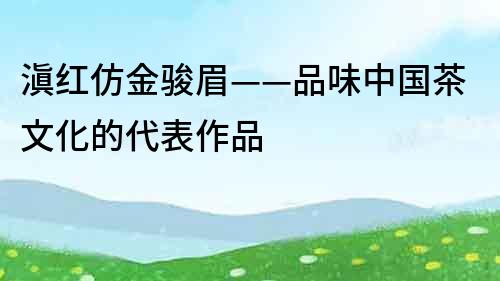 滇紅仿金駿眉——品味中國茶文化的代表作品