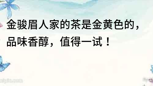 金駿眉人家的茶是金黃色的，品味香醇，值得一試！