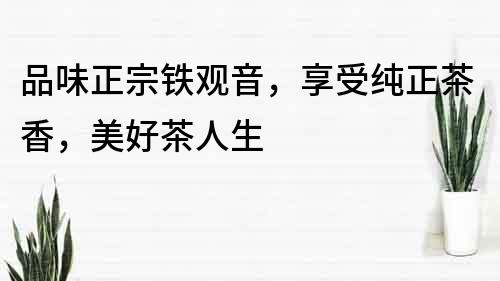 品味正宗鐵觀音，享受純正茶香，美好茶人生