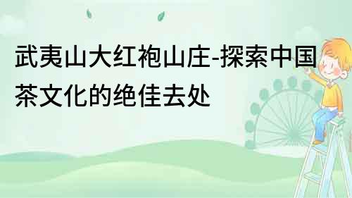 武夷山大紅袍山莊-探索中國茶文化的絕佳去處
