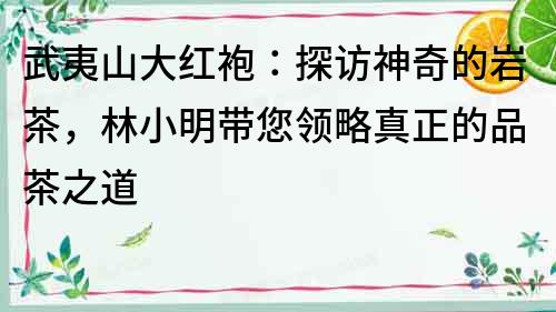 武夷山大紅袍：探訪神奇的巖茶，林小明帶您領(lǐng)略真正的品茶之道