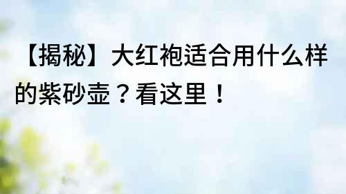 【揭秘】大紅袍適合用什么樣的紫砂壺？看這里！