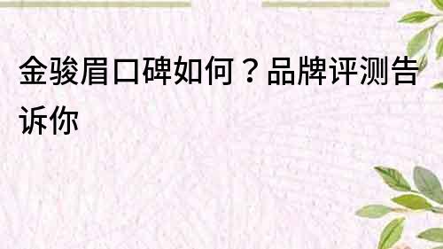 金駿眉口碑如何？品牌評測告訴你