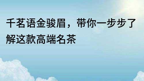千茗語金駿眉，帶你一步步了解這款高端名茶