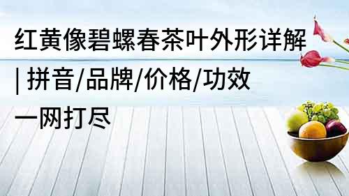 紅黃像碧螺春茶葉外形詳解 | 拼音/品牌/價格/功效一網打盡