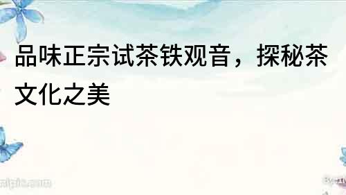 品味正宗試茶鐵觀音，探秘茶文化之美