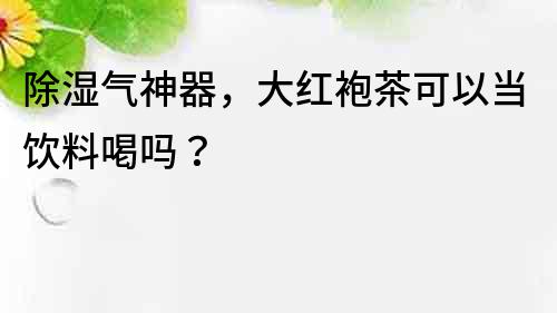 除濕氣神器，大紅袍茶可以當飲料喝嗎？