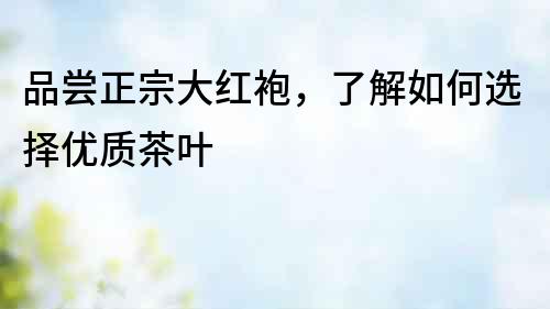 品嘗正宗大紅袍，了解如何選擇優(yōu)質(zhì)茶葉