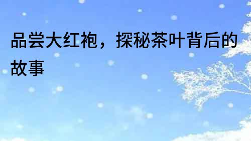 品嘗大紅袍，探秘茶葉背后的故事