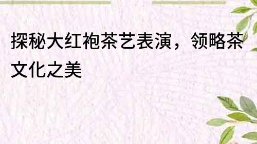 探秘大紅袍茶藝表演，領略茶文化之美