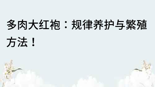 多肉大紅袍：規(guī)律養(yǎng)護(hù)與繁殖方法！