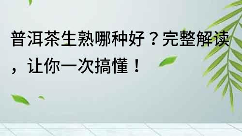 普洱茶生熟哪種好？完整解讀，讓你一次搞懂！