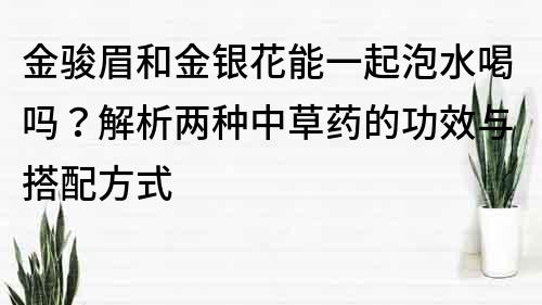 金駿眉和金銀花能一起泡水喝嗎？解析兩種中草藥的功效與搭配方式
