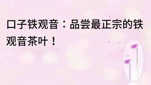 口子鐵觀音：品嘗最正宗的鐵觀音茶葉！