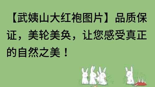 【武姨山大紅袍圖片】品質保證，美輪美奐，讓您感受真正的自然之美！