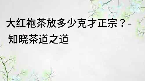 大紅袍茶放多少克才正宗？- 知曉茶道之道