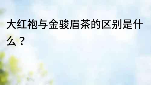 大紅袍與金駿眉茶的區(qū)別是什么？