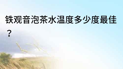 鐵觀音泡茶水溫度多少度最佳？