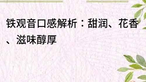 鐵觀音口感解析：甜潤、花香、滋味醇厚