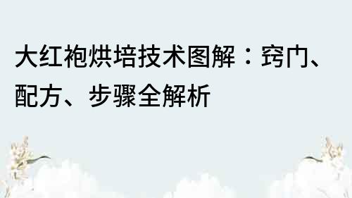大紅袍烘培技術圖解：竅門、配方、步驟全解析
